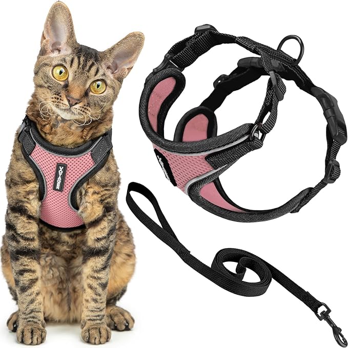 Voyager Escape-Proof Step-in Lock Cat Harness & 5ft Neoprene-Handle Leash Set All-Weather Mesh with Reflective Stitching for Small to Large Cats by Best Pet Supplies, Black Trim-Pink (327), XXXS