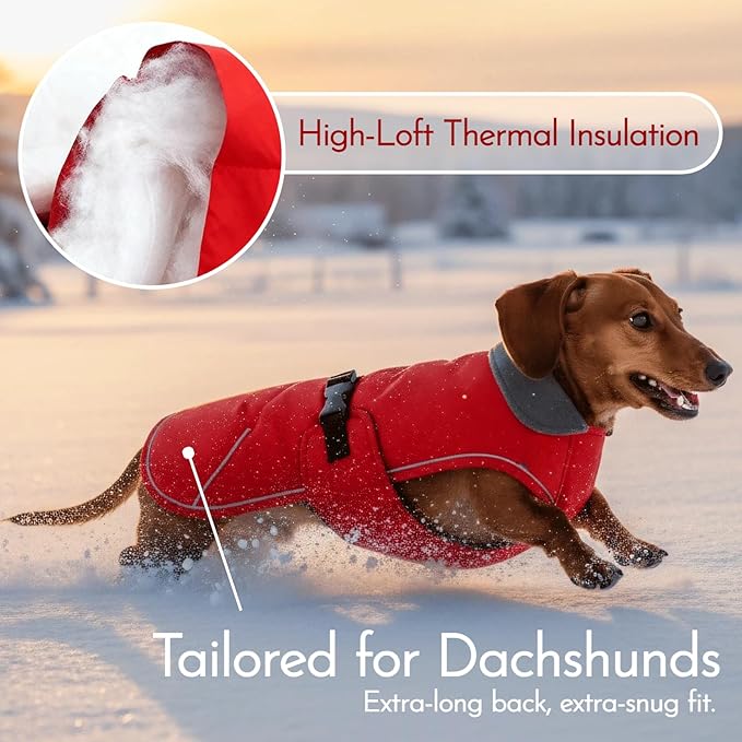 Waterproof & Windproof Dachshund Jackets with Adjustable Bands, Thick Weiner Vest Clothes for Large Sausage Dog, Weenie Winter Puffer Coat, Outdoor Snowsuit for Dachshunds, Small Medium Dog(Red, L)