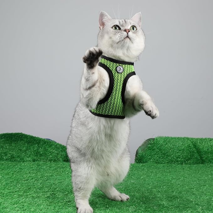 No Pull Small Dog Harness Tiny Dog Harness for Small Dogs Cats Chihuahua Harness Lightweight Extra Small Dog Harness Vest Reflective Step in Air Mesh Puppy Harness (Green, X-Small)