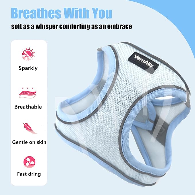 Sparkly Dog Harness Small Sized and Leash Set for Small Dogs Cats,Blue S Puppy Harness, Step in Soft Dog Reflective Vest, Breathable Mesh Pet Harness. (Blue, M)