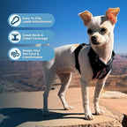 Voyager Step-in Pet Harness - All Weather Mesh, Adjustable Step in Harness for Cats and Dogs by Best Pet Supplies - Pink/Black Trim, XS
