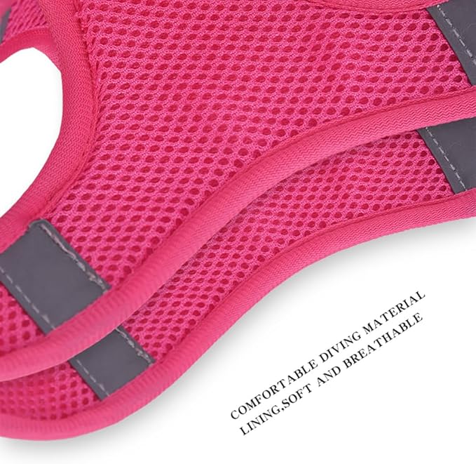 Step in Dog Harness and Leash Set, Flower Adjustable Easy Walk Puppy Harnesses, Soft Mesh Pet Vest Harness Small Size Dog Adjustable No Pull Dog Harness for Small Dogs and Cats(Purple, XS)