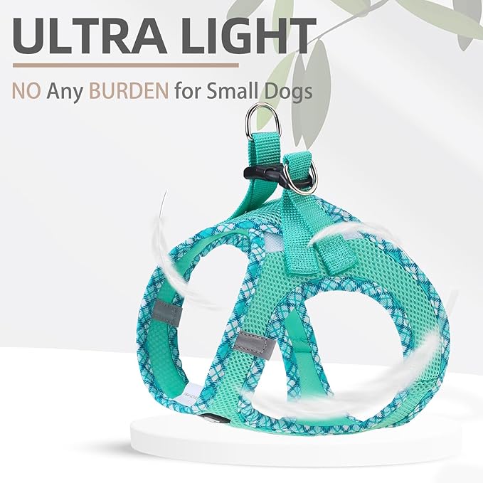 PUPTECK Dog Harness and Leash Set for Small Medium Dogs No Pull Step-in Soft Mesh Puppy Cat Vest Harnesses Reflective at Night, Green M