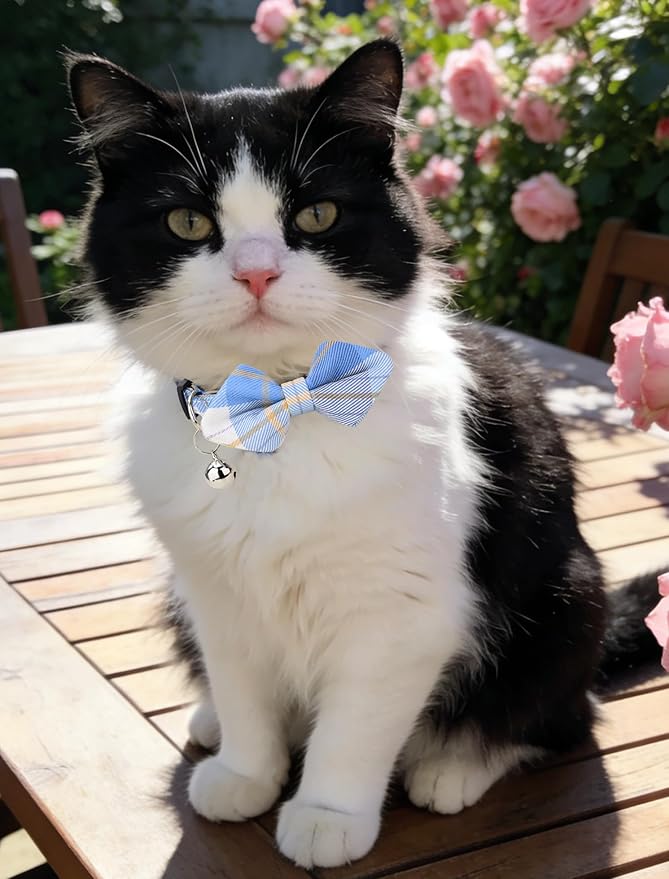 Cat Collar 3pcs Set Classical Plaid Tartan Grid Pattern Detachable Bowtie & Bell Safety Breakaway for Cats Kittens Pink Blue Navy