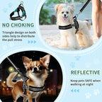 SlowTon No Pull Small Dog Harness and Leash Set, Puppy Soft Vest Harness Neck & Chest Adjustable, Reflective Lightweight Harness & Anti-Twist Pet Lead Combo for Small Medium Dogs (Black, XXS)