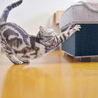 Cat Scratch Furniture Protector Couch Protector from cat Claws Self-Adhesive Carpet remnants Scratching Mat Trimmable DIY Climbing Covering Posts 39.3" x 15.8" Blue Grey