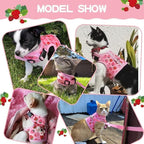 BINGPET Cat Harness with Leash Escape Proof - Fashionable Mesh Cat Dog Walking Harness Leads, Adjustable for Kitties Puppies Small Animals