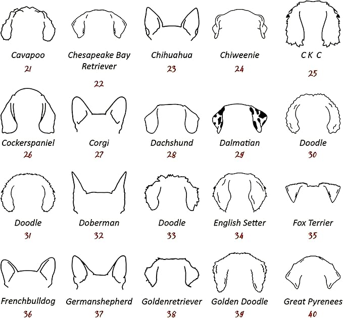 Personalized Dog Mom Sweatshirt, Custom Dog Ear Line Art Portrait Sweatshirt for Women, Pet Name Pullover Crewneck for Women, Customized Pet Lover Gifts, Mom Gift for Christmas Mothers 2