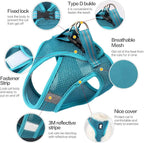 HEYWEAN Cat Harness and Leash - Ultra Light Escape Proof Kitten Collar Cat Walking Jacket with Running Cushioning Soft and Comfortable Suitable for Puppies Rabbits