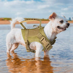 IronSeals Tactical Nylon Adjustable Dog Vest Harness Comfy Mesh Padding Puppy Vest with Quick-Release Buckle and Rubber Handle for Small Dog/Big Cat
