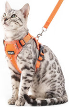Cat Harness and Leash Escape Proof Extra Large Kitten Harness Maine Coon Cat Vest for Walking Travel, Orange, XL