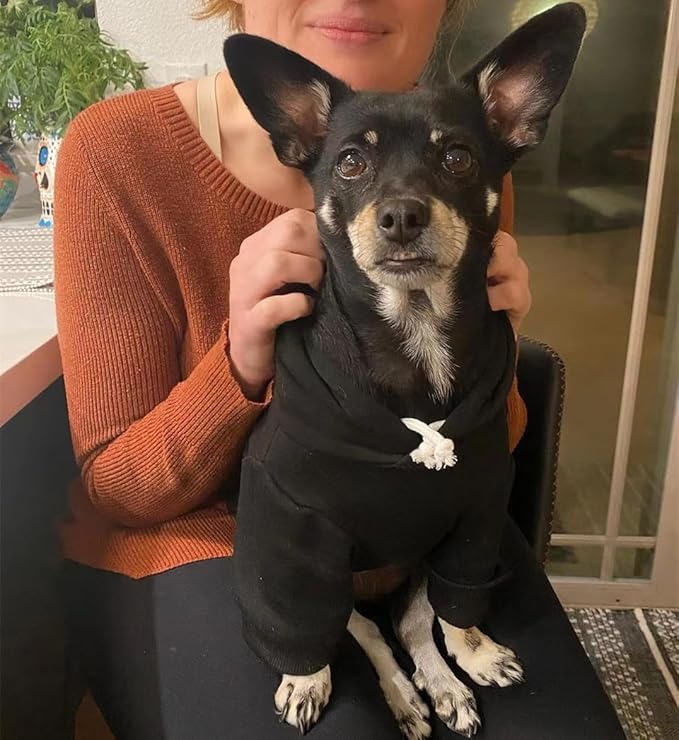 Security Dog Hoodie Puppy Sweater Cold Weather Dog Coats Pet Clothes Hooded Sweatshirt for Medium Dogs