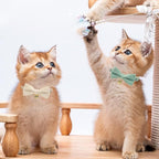 2 Pack Soft Corduroy Cat Collars with Bow Tie & Bell Adjustable Breakaway Bowtie Kitten Collar for Girl Boy Kittens(White & Grass Green)