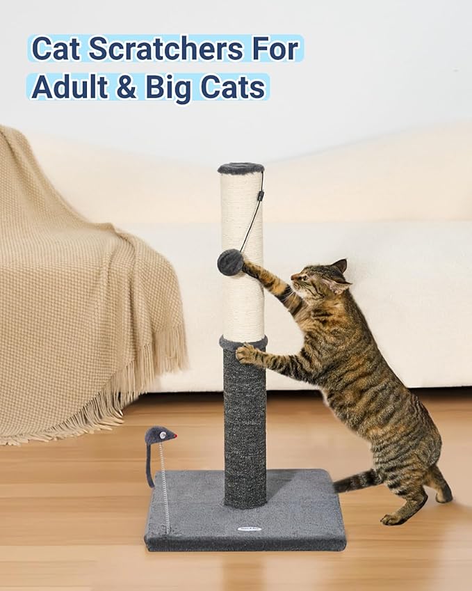 Happi N Pets 29.5" Tall Cat Scratching Post, Cat Scratcher for Indoor Cats, Sisal Scratch Post & Carpet Post in One, Stable Cat Scratch Post with Two Toys, Extra Free Toy, Smokey Gray