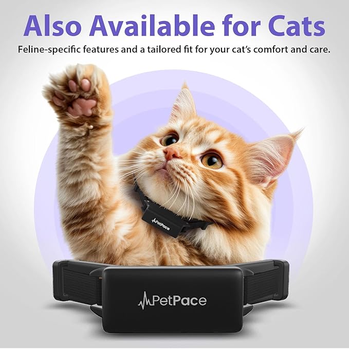 NEW Dog Health Monitor V3.0 by PetPace – AI Smart Collar with 24/7 Vital Signs, Pain & GPS Tracking, Telehealth AskaVet & Share With Your Vet, Smartwatch Sync – Subscription Required (Small)