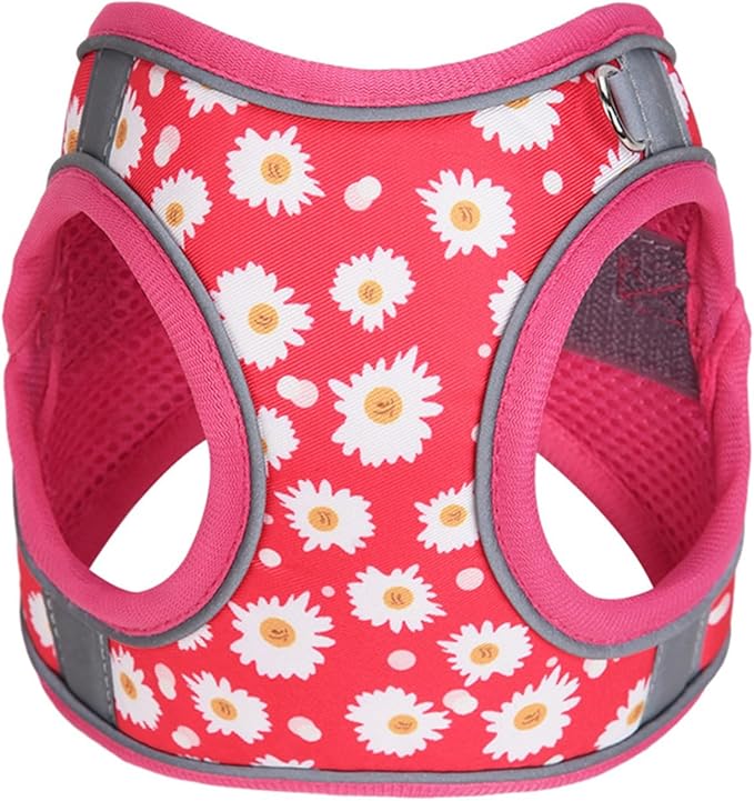 Step in Dog Harness No Pull Flower Adjustable Soft Mesh Padded Reflective Pet Vest Harness and Leash Set for Small Medium Dogs