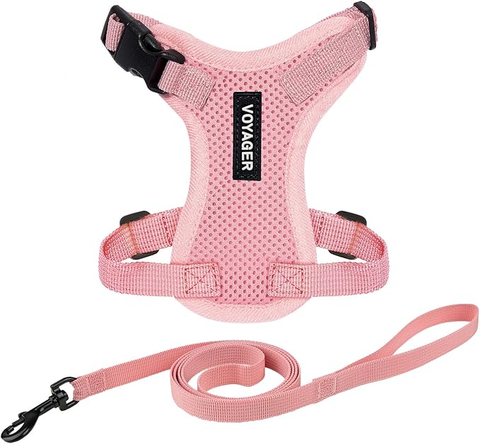 Voyager Escape-Proof Step-in Lock Cat Harness & 5ft Neoprene-Handle Leash Set All-Weather Mesh with Reflective Stitching for Small to Large Cats by Best Pet Supplies, Pink, XS