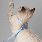 Cat Harness and Leash 2-in-1, Escape Proof Anti-Chocking Harness Adjustable Lighweight Leash for Walking Outoor Training for Kitten Small Large Cats Puppy, US IDA Bronze Award (Blush Pink)
