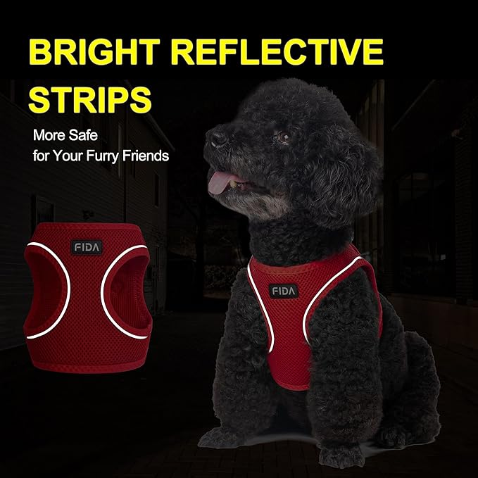 Fida Comfy Dog Harness with Leash, Soft Puppy Vest Escape Proof, Breathable Lightweight Soft Mesh, Adjustable Reflective Step-in Harness for Cat & Extra-Small Pet (XS, Red)