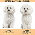 Dog Slicker Brush for Shedding & Grooming - Professional Dog Brush and Cat Brush with Coated Tips & Air-Cushion Design, Deshedding Tool Removes Undercoat Tangles & Loose Fur for Long/Short Hair Pets