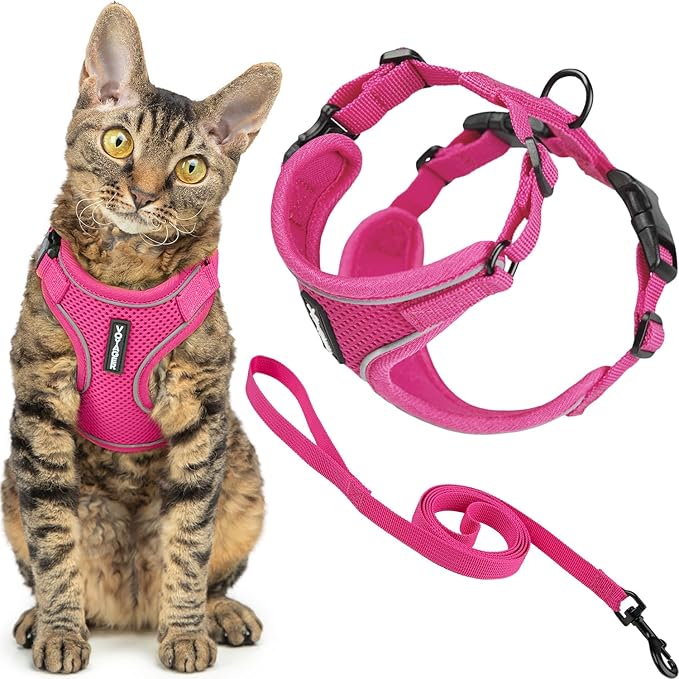 Voyager Escape-Proof Step-in Lock Cat Harness & 5ft Neoprene-Handle Leash Set All-Weather Mesh with Reflective Stitching for Small to Large Cats by Best Pet Supplies, Fuchsia (327), S