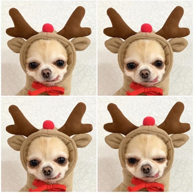 Warm Dog Winter Clothes Cute Fruit Dog Coat Hoodies Fleece Pet Dogs Costume Jacket for French Bulldog Chihuahua Ropa para Perro(Coffee,XL)