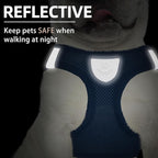 PUPTECK Adjustable Dog Harness Collar and Leash Set Step in No Pull Pet Harness for Small Medium Dogs Puppy and Cats Outdoor Walking Running, Soft Mesh Padded Reflective Vest Harnesses