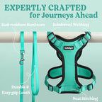 rabbitgoo Cat Harness and Leash for Walking, Escape Proof Soft Adjustable Vest Harnesses for Cats, Easy Control Breathable Reflective Strips Jacket, Emerald, M