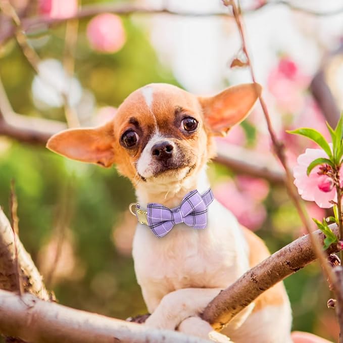 Beirui Cute Extra Small Dog Harness Collar and Leash Set with Bowtie, Soft Adjustable Plaid Puppy Harness for Small Sized Dogs Cats Walks Parties and Photoshoots(Purple,XXS:Chest 12-14")