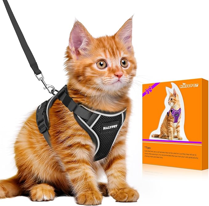 Halypet Cat Harness and Leash Set - MAX Safety 4th-Gen Upgrade, Escape Proof, Adjustable, Comfortable Soft Vest, Easy to Wear Kitten Harness with Reflective Strip for Cats Walking - Small Black
