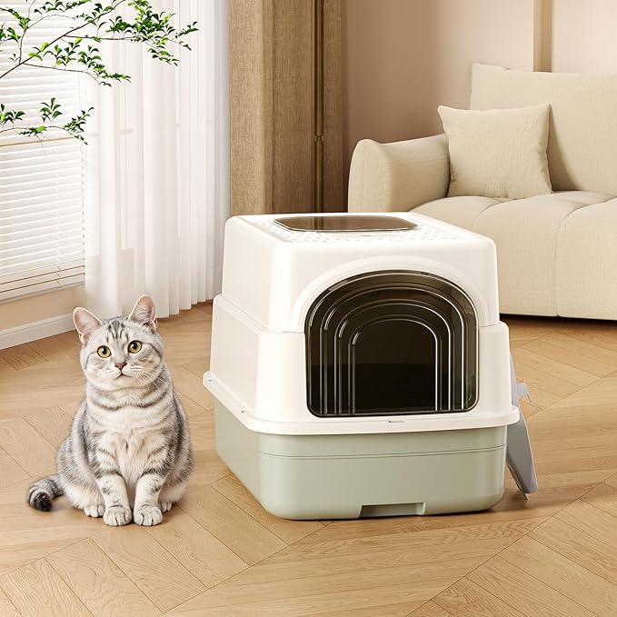 Basics Cat Litter Box with Lid,Fully Enclosed Litter Box with Scoop,Standard Kitty Litter Boxes with Drawer,Front Entry Top Exit Kitty Box,Non-Sticky, Anti-Leakage, Easy Cleaning (Green)