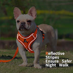 No Pull Dog Harness with Leash Set for Medium Sized Dog, Reflective Adjustable No Choke Front Clip Cat Vest Harness with Breathable Mesh, Comfortable Soft Padded Pet Vest, Orange XL