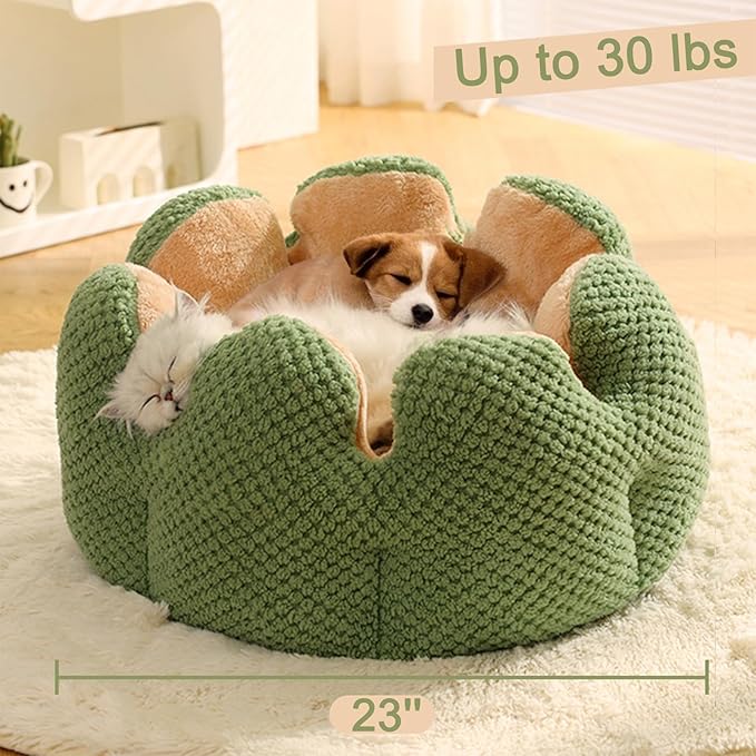 CWV Cute Cat Beds Kitten Beds, Soft Small Dog Beds, Washable Pet Beds for Puppy and Kitty, Cactus Shape, 23 Inch