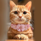 2 Pack Cat Collar Pink Floral with Bell and Removable Flower Bowtie Breakaway Adjustable Cat Collar for Girl Kitten Puppy Small Cats Dogs Daily Decoration (XQ10-4)