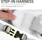 PUPTECK Plush Dog Harness and Leash Set for Small Medium Dogs No Pull Step-in Soft Mesh Puppy Cat Winter Vest Harnesses Reflective at Night Warm, Plush Grey, XS