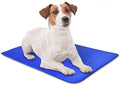 Arf Pets Dog Self Cooling Mat Pad for Kennels, Crates and Beds, Non-Toxic, Durable Solid Cooling Gel Material. No Refrigeration or Electricity Needed, Small 16" x 20"
