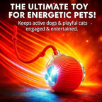 Interactive Electric Automatic Rolling Moving Rechargeable Self Play Stimulation Toy,Smart Pet Chase with Speedy Tail Rope for Bored Indoor Cats (Purple)