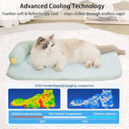 All-Season Ice Fabric Cat Bed with Cushioned Pillow/Play Ball/Washable Mat for Cats, Kittens & Small Pets（Green, Large-25"x19"x4"