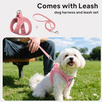 PetiFine Step in Small Dog Harness and Leash Set, Breathable All Weather Air Mesh Reflective Escape Proof, Step-in Vest Harnesses for Puppy(S, Pink)