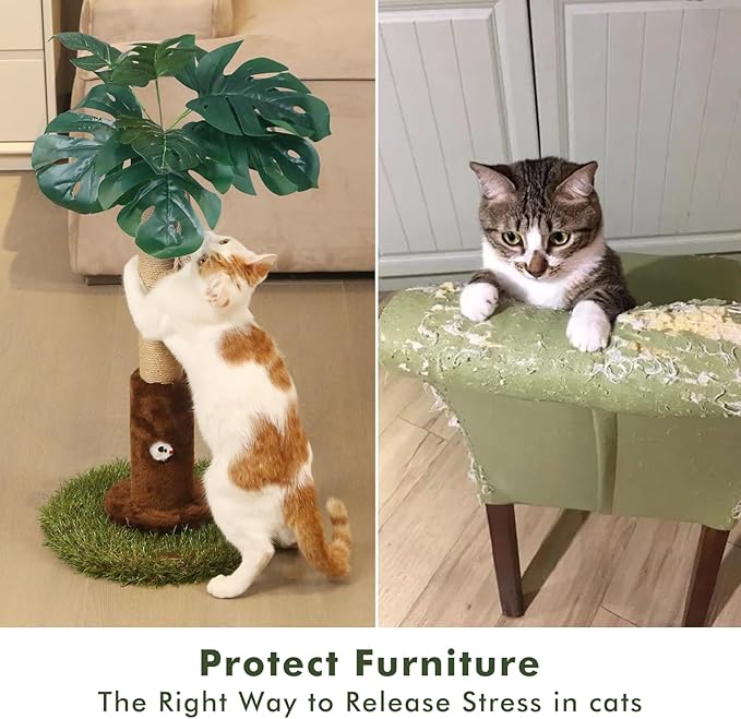 Cat Scratching Post for Indoor Cats and Kitten - 35.43" Tall Cat Scratching Post with Sisal Rope,Palm Tree Cat Scratch Post with Hanging Ball (26.4-Brown, 26.4in)