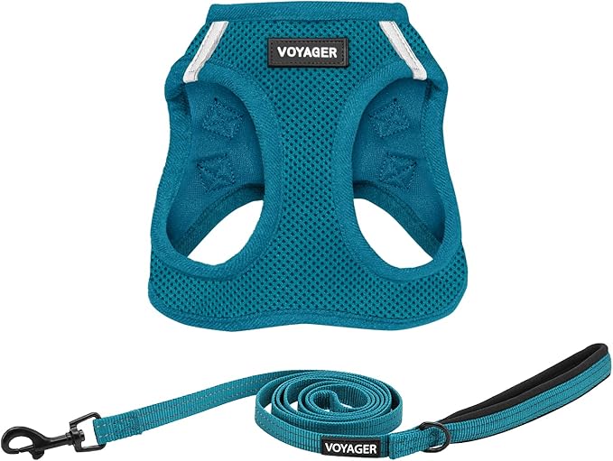 Best Pet Supplies Voyager Step-in Air All Weather Mesh Harness and Reflective Dog 5 ft Leash Combo with Neoprene Handle, for Small, Medium and Large Breed Puppies - Set (Turquoise), XL