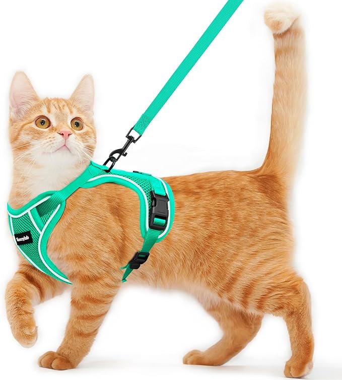 Cat Harness and Leash for Walking Escape Proof Soft Adjustable Cat Leash Breathable Comfortable Vest Easy to Wear Kitten Harness for Outdoor Travel Emerald XS
