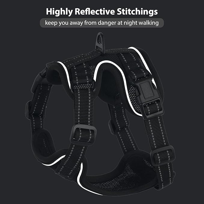 Rttochfy Cat Harness and Leash Set, Adjustable and Reflective Cat Vest, Escape Proof Kitten Harness, Easy to Put on with 3 Buckles for Cats Walking and Traveling (Black, M)