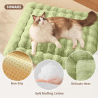 Self-Warming Cat Bed, Plush Faux Fur Pet Bed Mat with Anti-Slip Bottom, Ultra Soft Heated Bed for Cats & Medium Dogs, Cozy Fluffy Pad for Couch & Crate, Machine Washable, 27x20 Inch Green