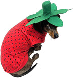 Pet Halloween Costume Dog Strawberry Costume Role Play Clothes for Thanksgiving Christmas (Red, L)