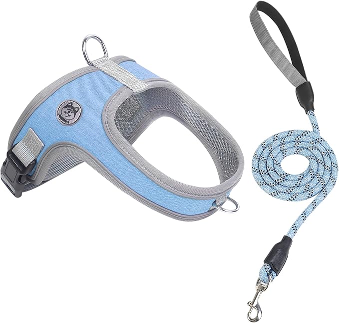 Dog Harness and Leash Set, No Pull Saddle Style Pet Harness, Breathable Mesh Adjustable Reflective Dog Vest for Dogs and Cat Medium Small Harness 2 D-Rings (Blue, M)