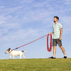 Long Dog Leash for Training 50Ft-Reflective Nylon Rope with Swivel Hook-Recall Agility Lead for Large Small Medium Dogs Outside Walking Hiking-Red