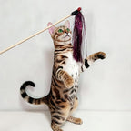 IUHKBH Tinsel Cat Wands 4 PCS Shiny Teaser Wands with Bell Vibrant Wooden Cat Stick for All Breed Size