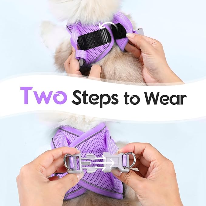 Dooradar Cat Harness and Leash Set, Escape Proof Lightweight Kitten Harness, Soft Breathable Reflective Vest for Outdoor Walking Traveling, Adjustable for Medium Cats, Grey & Purple, M