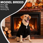 EXPAWLORER Fall Dog Hoodie-Soft and Warm Dog Sweaters, Pet Clothes Autumn Winter Coat Sweatshirt with Thanksgiving Turkey Theme Print for Puppy,Cat, Small Medium Large Dogs